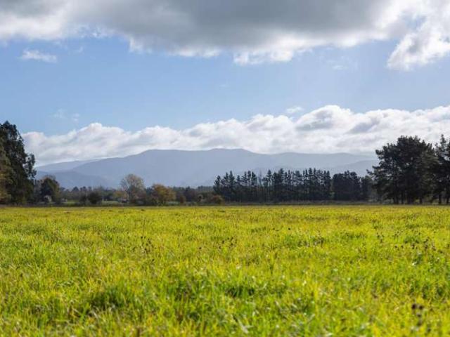 Property for sale in Greytown, Wellington