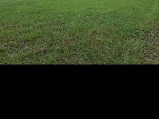 Land for sale in Eva, Alabama