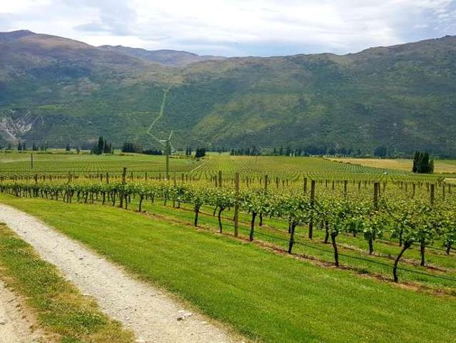 Property for sale in Otakou