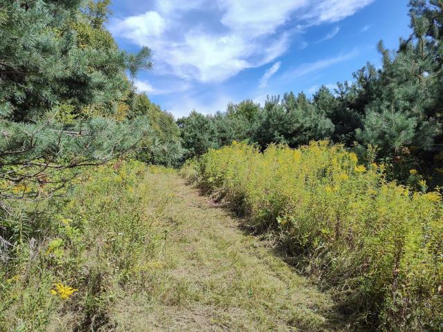 Land for sale in Town of Eureka, Polk County