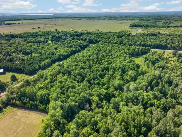 Land for sale in Pequot Lakes, Minnesota