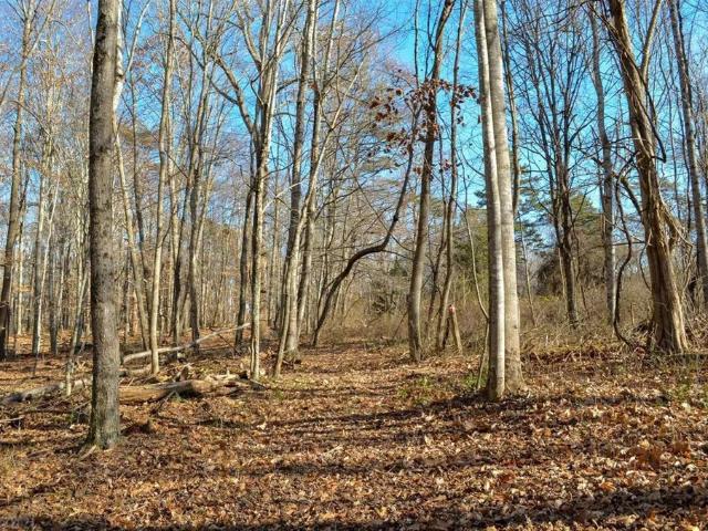Land for sale in Virginia