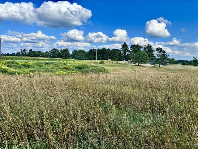 Land for sale in Town of Turin, Lewis County