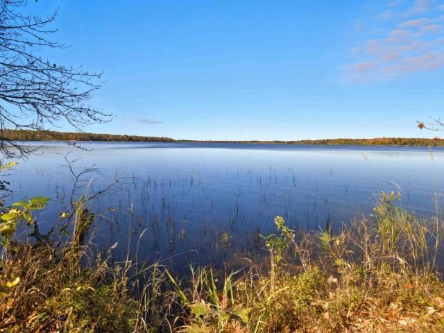Land for sale in Minnesota