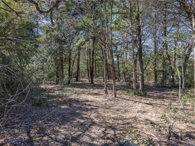 Land for sale in Caldwell, Texas