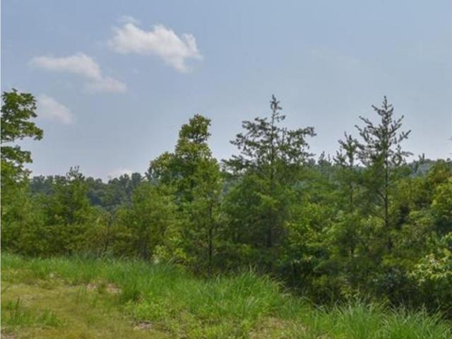 Land for sale in Marshall, Madison County