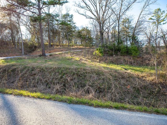 Land for sale in Stone, Missouri