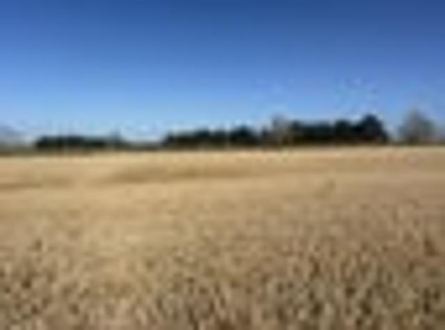 Land for sale in Timaru, Canterbury