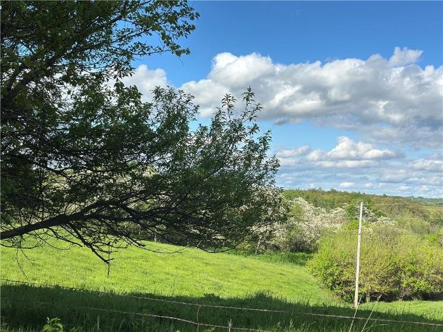 Land for sale in Ray, Missouri