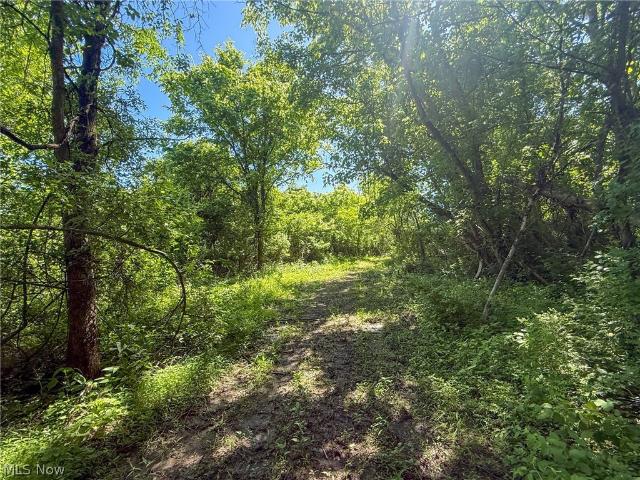 Land for sale in Mingo Junction, Ohio