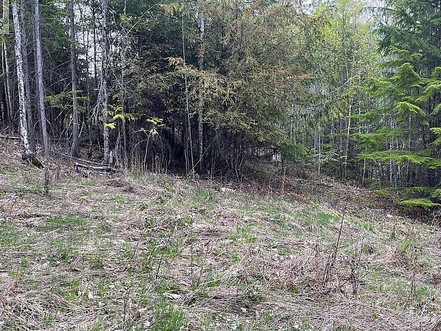 Land for sale in Lardeau, British Columbia