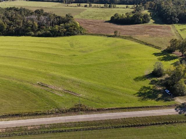 Land for sale in Ashford, Alabama