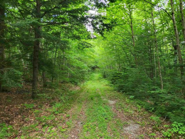 Land for sale in New Hampshire