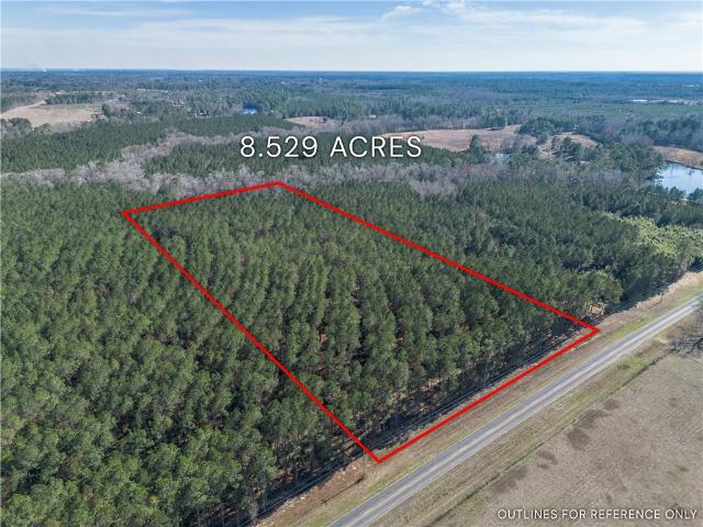 Land for sale in Dodge, Georgia