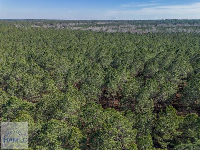 Land for sale in Dodge, Georgia