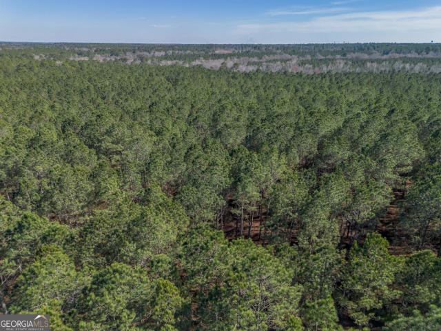 Land for sale in Dodge, Georgia