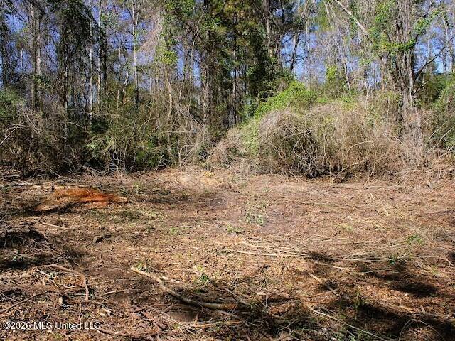 Land for sale in Poplarville, Mississippi