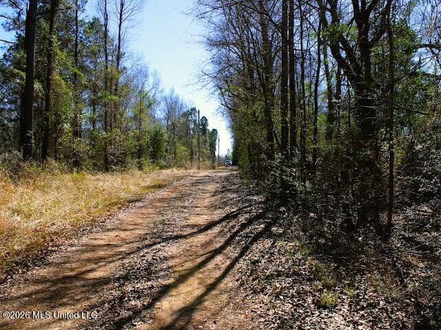 Land for sale in Poplarville, Mississippi