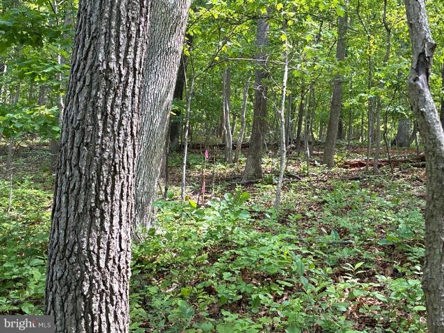 Land for sale in Virginia