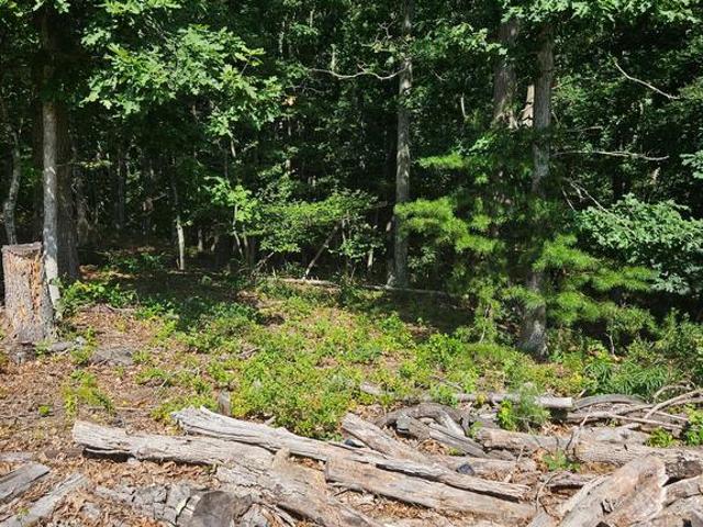 Land for sale in Paw Paw, Hampshire County