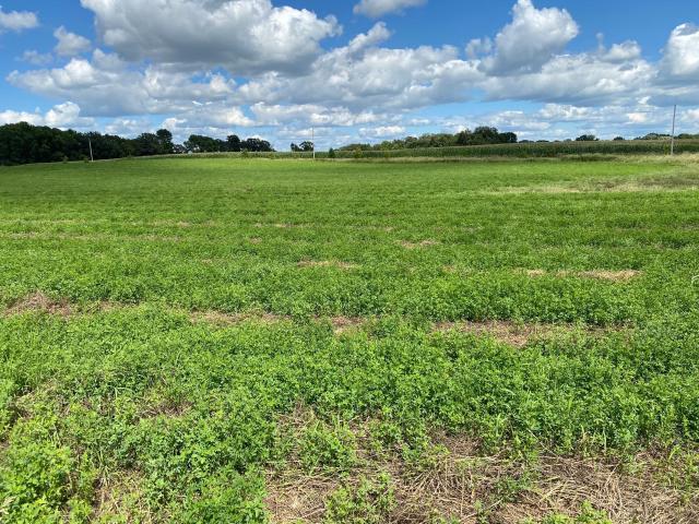 Land for sale in Alexandria, Minnesota