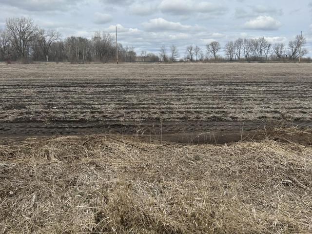 Land for sale in Minnesota