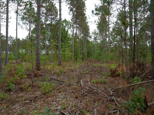 Land for sale in Wisconsin