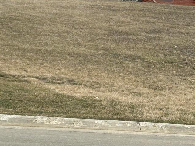 Land for sale in Emmet, Iowa