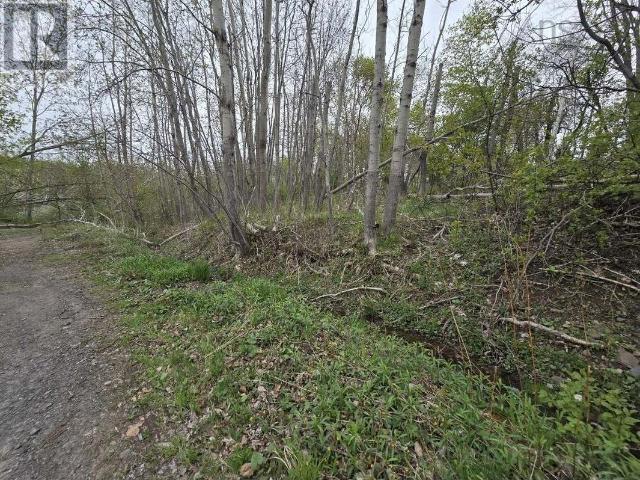Land for sale in Trenton, Nova Scotia