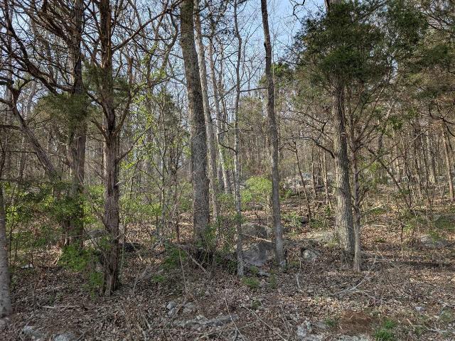 Land for sale in Bowling Green, Warren County