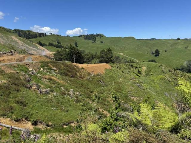 Property for sale in Kawhia, Waikato