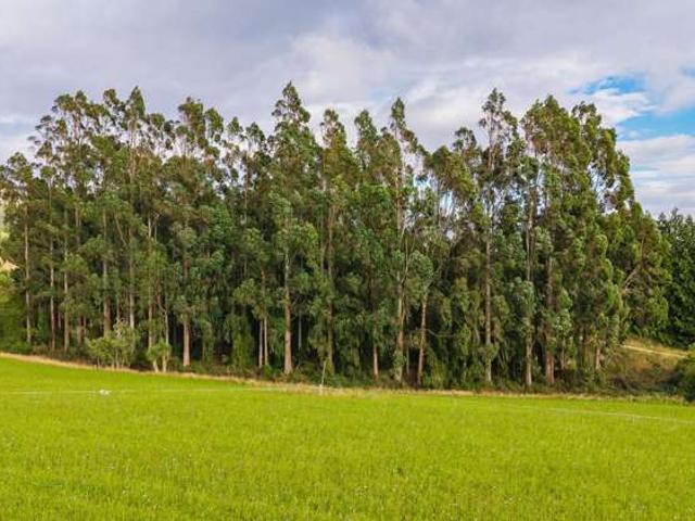Property for sale in Waimate, Canterbury