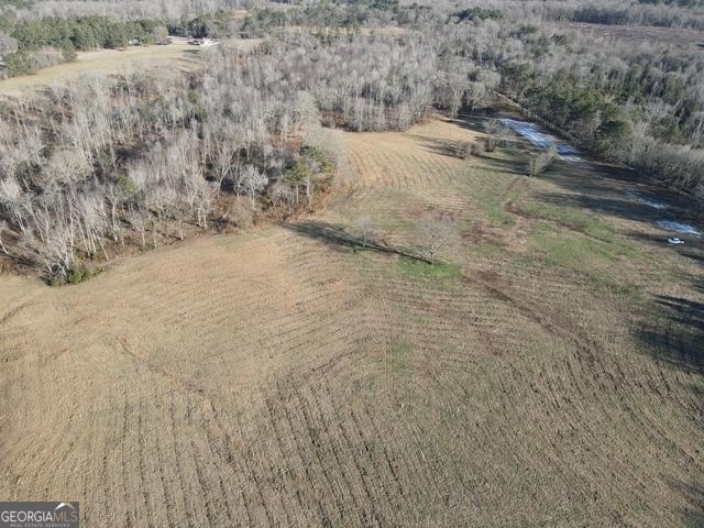 Land for sale in Zebulon, Georgia