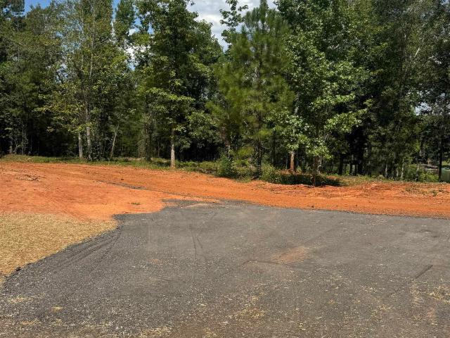 Land for sale in Wedowee, Alabama