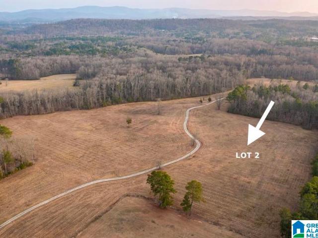 Land for sale in Jacksonville, Alabama