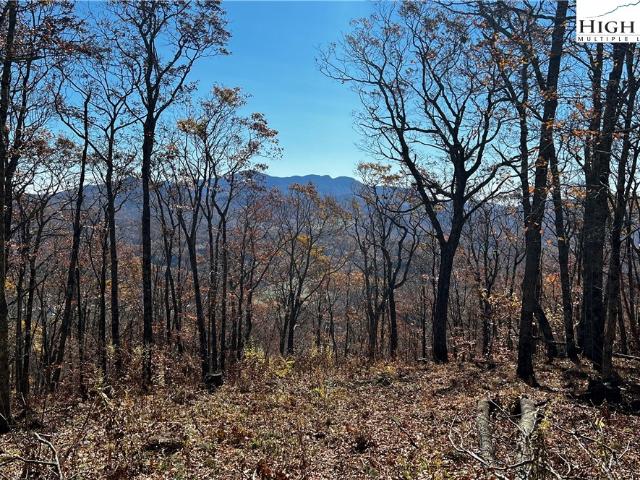 Land for sale in Avery, North Carolina