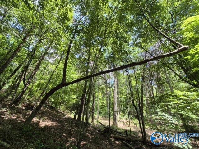 Land for sale in Flat Rock, Alabama