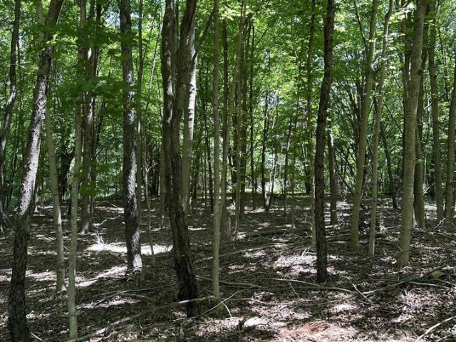 Land for sale in Michigan