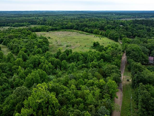 Land for sale in Avinger, Texas