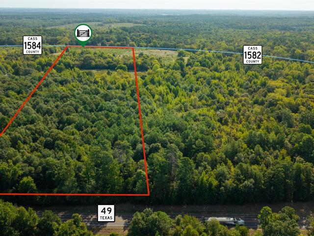 Land for sale in Avinger, Texas