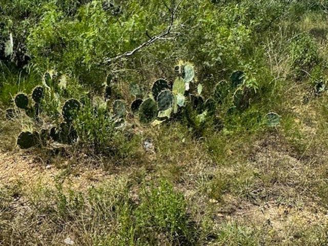 Land for sale in Waelder, Texas