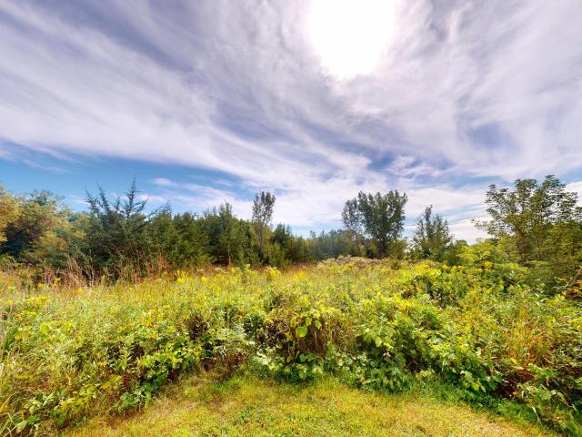 Land for sale in Wisconsin