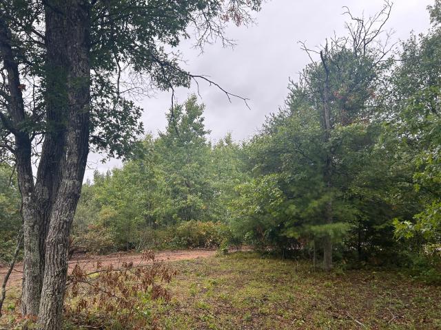 Land for sale in Wascott, Town of Wascott