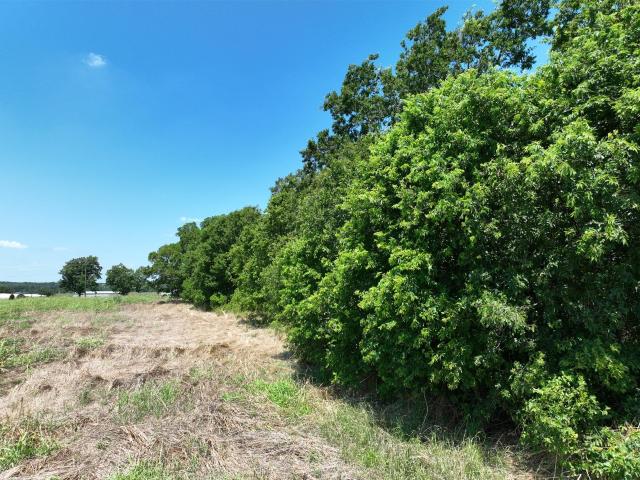 Land for sale in Cameron, Milam County