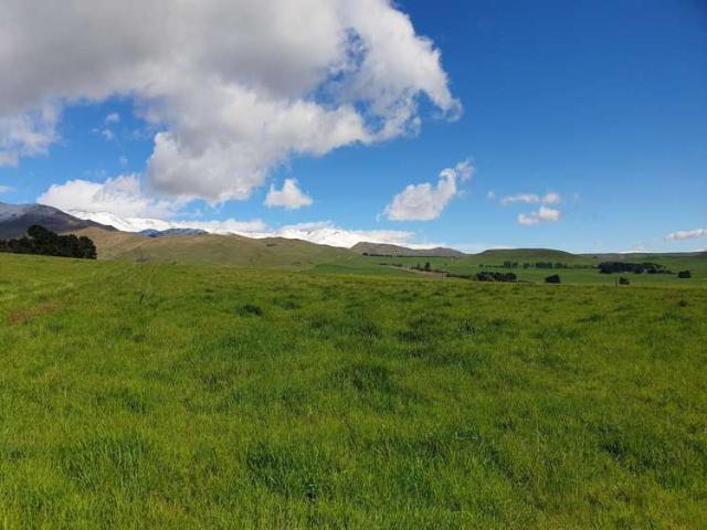 Property for sale in Otakou