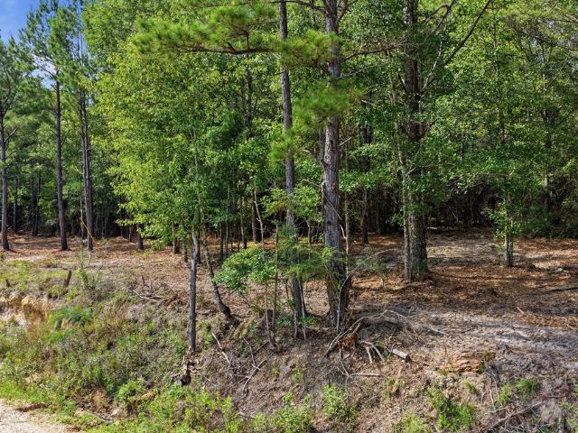 Land for sale in Opp, Alabama