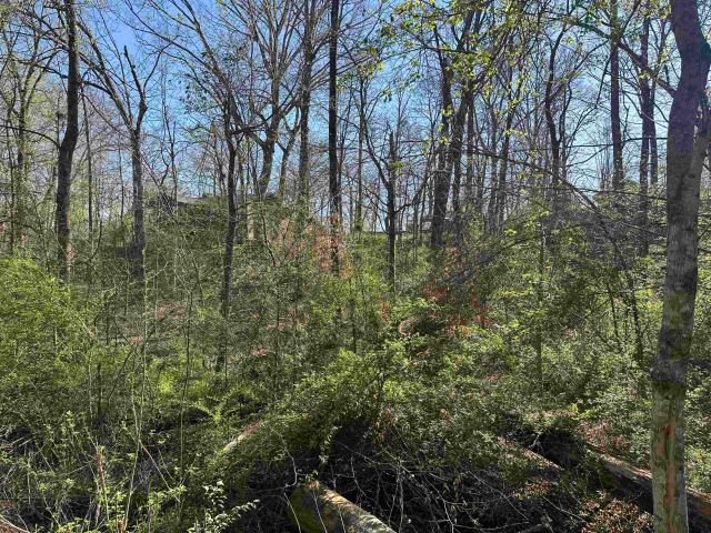 Land for sale in Tennessee