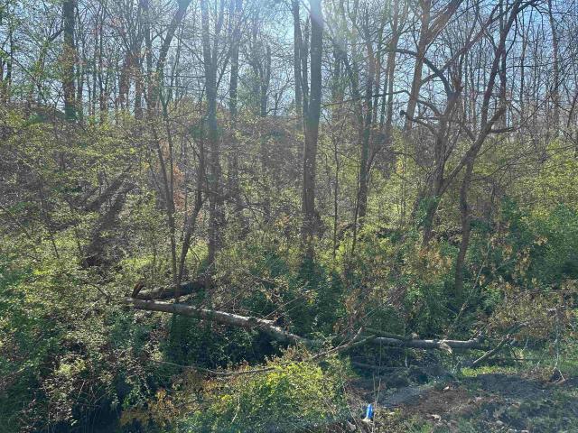 Land for sale in Tennessee