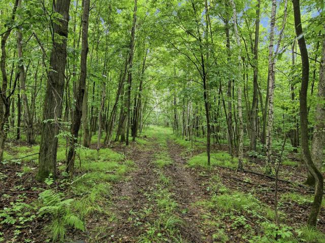 Land for sale in Wisconsin