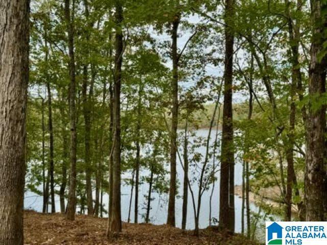 Land for sale in Wedowee, Alabama